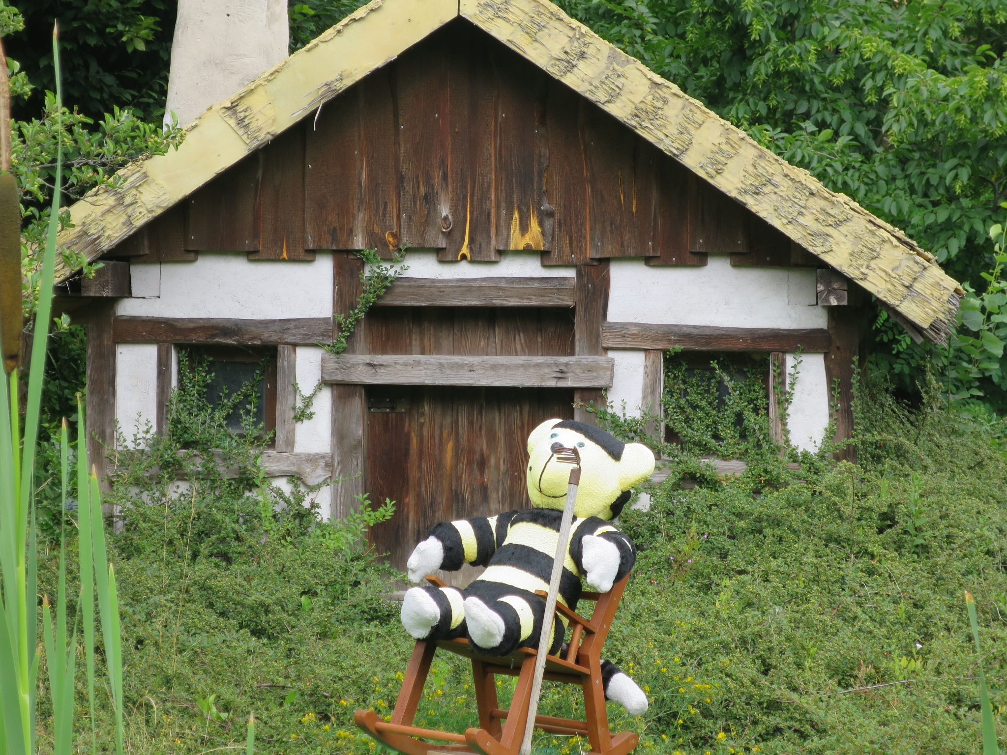 Filmpark 24
